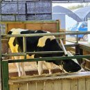 소보소농장 이미지