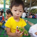 봉기농장 이미지