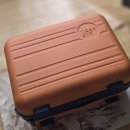 피크닉 | TIGER ETF와 함께한 가을 피크닉 후기