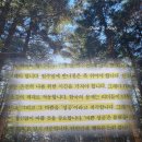 말하지 않고 말하기 책 | 김정운 책 후기 | 단언컨대 행복은 느린 겁니다 추천 리뷰 핵심 요약