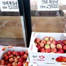 장터야채소매