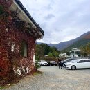 올떡볶이(언양점) | 울산 언양불고기 한정식 소소숲, 태화강 근처 점심으로 추천