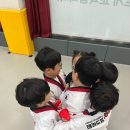 태권도장 채움 이미지