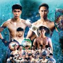 자이 복싱 이미지