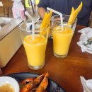 아일랜드 | 보홀 발리카삭 호핑투어 버진아일랜드 후기