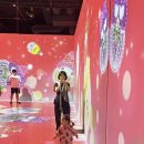 엄마랑 유리드믹스11-17개월 | 제주 연돈 웨이팅 80번대 후기｜17개월·14개월 아기랑 키티아일랜드 (아기동반 제주 실내코스)