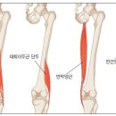 419 당구장 이미지