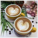 쉽게 배우는 바리스타 과정 이미지