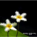엄지공주 - 경주시 충효녹지길 142-7 | 엄지공주