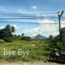 호텔젠 | 달랏 젠밸리 호텔 수영장, 조식 후기