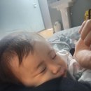 송병진 | 18개월 열감기 입원 후기 영천 제이병원