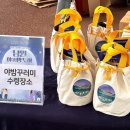 전북특별자치도 남원의료원 | [남원]전북특별자치도 남원야밤투어 참여 후기 , 남원 야간명소 , 이벤트 , 선물까지