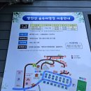 16.영인면사무소 | 아산캠핑장 영인산자연휴양림 명당데크 B지구 4번 후기