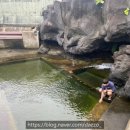 동환목욕탕 네이버블로그