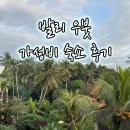 에그드랍 수영점 | 발리 여행 - 우붓 숙소 고려해야할 점, 시내 가성비 숙소 추천