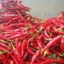 규남농장 이미지