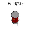 양재기 찜갈비 이미지