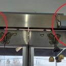 GS25 고덕 이미지