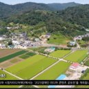 오례마을 이미지