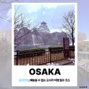 하늘성 | 오사카 여행 필수 코스 오사카성, 마른하늘에 눈보라 맞은 후기