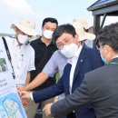 호남 태양광발전소 이미지