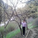 진달래약수터 이미지