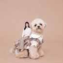 더줌스튜디오