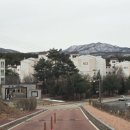 양벌로353번길 이미지