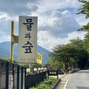 물과숲민박 이미지