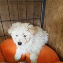 송산2길 이미지