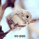 지은갤러리