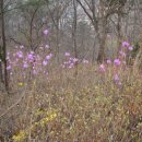 산성의 아침 이미지