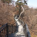 홍릉초교 이미지