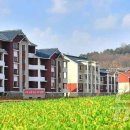 순안농장 이미지