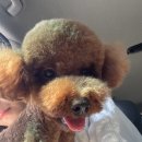 마벨펫 천안점 이미지