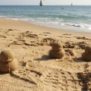 오리와사람들 이미지