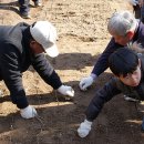 녹전초등학교 Daum카페