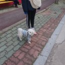 지에스25 농성상록점 이미지