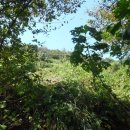 석전동161 이미지