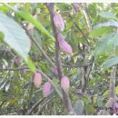 삼종농장 이미지