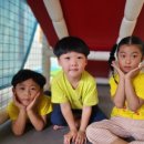 보령 품태권도 이미지