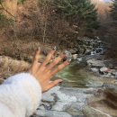 두리랑미술학원 | 갈끝-겨울냄새