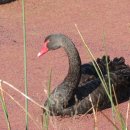 에벤에셀 축사 이미지