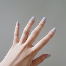 하버프레스 네이버블로그