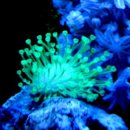 바다정원 이미지