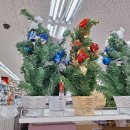 다이소 대신시장점 이미지