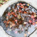 마곡사경내 이미지