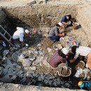 영남대학교 박물관 이미지