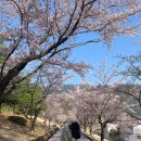 가례면사무소 이미지