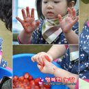 행복한 딸기농장 이미지
